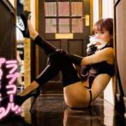 ヒメ日記 2025/03/17 09:15 投稿 れい 玉乱☆痴（たまらんち）