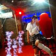 ヒメ日記 2025/03/31 09:00 投稿 れい 玉乱☆痴（たまらんち）