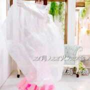 ヒメ日記 2025/04/18 11:45 投稿 れい 玉乱☆痴（たまらんち）