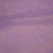 ヒメ日記 2025/05/04 20:00 投稿 れい 玉乱☆痴（たまらんち）