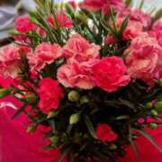 ヒメ日記 2025/05/11 13:20 投稿 れい 玉乱☆痴（たまらんち）