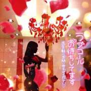 ヒメ日記 2025/06/02 09:00 投稿 れい 玉乱☆痴（たまらんち）