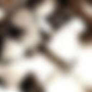 ヒメ日記 2025/07/17 22:10 投稿 れい 玉乱☆痴（たまらんち）