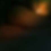 ヒメ日記 2025/12/22 19:00 投稿 れい 玉乱☆痴（たまらんち）