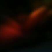 ヒメ日記 2026/02/05 19:00 投稿 れい 玉乱☆痴（たまらんち）