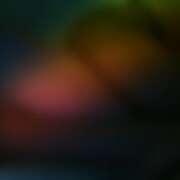 ヒメ日記 2026/02/09 18:30 投稿 れい 玉乱☆痴（たまらんち）