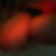 ヒメ日記 2026/02/24 16:00 投稿 れい 玉乱☆痴（たまらんち）