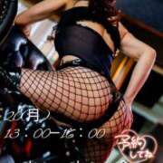 ヒメ日記 2026/04/17 09:00 投稿 れい 玉乱☆痴（たまらんち）