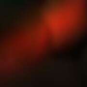 ヒメ日記 2026/04/19 15:00 投稿 れい 玉乱☆痴（たまらんち）