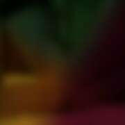 ヒメ日記 2026/10/08 16:00 投稿 れい 玉乱☆痴（たまらんち）