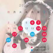 ヒメ日記 2025/02/24 12:56 投稿 やえ マリン千姫