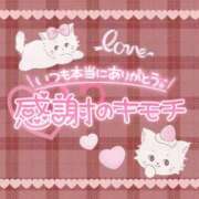 ヒメ日記 2025/02/25 10:16 投稿 やえ マリン千姫