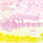 ヒメ日記 2025/03/07 08:16 投稿 やえ マリン千姫