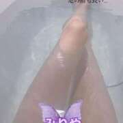 ヒメ日記 2025/04/20 19:07 投稿 みりや ベイキュート