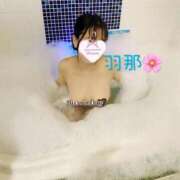 ヒメ日記 2025/04/06 14:03 投稿 羽那-Hana- 姉新地