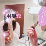 ヒメ日記 2025/04/06 17:38 投稿 羽那-Hana- 姉新地