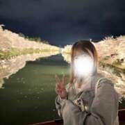 ヒメ日記 2025/04/25 14:13 投稿 ふわり（青森店） JKプレミアガール青森・弘前店