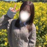 ヒメ日記 2026/05/17 14:13 投稿 ふわり（青森店） JKプレミアガール青森・弘前店