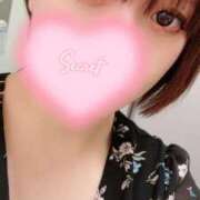 ヒメ日記 2025/03/26 17:02 投稿 りす 奥様なでしこ