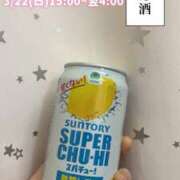 ヒメ日記 2026/03/20 03:07 投稿 きずな ちゃんこ大阪伊丹空港豊中店