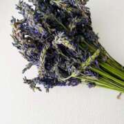 こはる 収穫 新宿・新大久保おかあさん