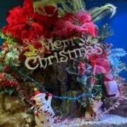 ヒメ日記 2024/12/20 07:44 投稿 えま 千葉人妻花壇