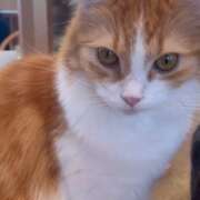 ヒメ日記 2026/01/10 23:16 投稿 いろは 佐賀人妻デリヘル 「デリ夫人」