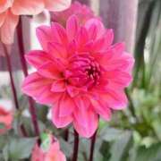 ヒメ日記 2026/02/04 00:07 投稿 いろは 佐賀人妻デリヘル 「デリ夫人」