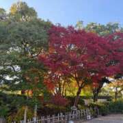 ヒメ日記 2025/11/23 18:02 投稿 羽玖(はく)♥小柄美人完全未経験 美魔女コレクション