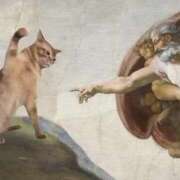 ヒメ日記 2024/12/20 20:02 投稿 れん 丸妻 新横浜店