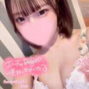 ヒメ日記 2025/01/15 02:55 投稿 スン secretgirl大阪