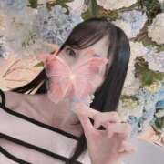 ヒメ日記 2025/02/22 19:21 投稿 鯉夏ゆうひ Mrs. Dandy Shibuya