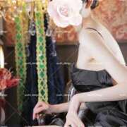 ヒメ日記 2025/04/18 23:52 投稿 鯉夏ゆうひ Mrs. Dandy Shinjuku