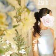 ヒメ日記 2025/04/27 16:54 投稿 鯉夏ゆうひ Mrs. Dandy Shinjuku