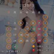 ヒメ日記 2025/03/01 20:33 投稿 鯉夏ゆうひ Mrs.Dandy Kinshicho