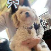 ヒメ日記 2025/06/27 19:58 投稿 鯉夏ゆうひ Mrs.Dandy Kinshicho