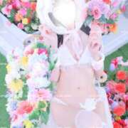 ヒメ日記 2025/03/19 15:05 投稿 鯉夏ゆうひ Mrs. Dandy