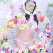 ヒメ日記 2025/04/19 13:22 投稿 鯉夏ゆうひ Mrs. Dandy