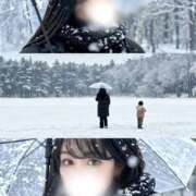 ヒメ日記 2025/11/21 22:08 投稿 鯉夏ゆうひ Mrs. Dandy