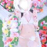 ヒメ日記 2025/03/19 15:12 投稿 鯉夏ゆうひ Mrs. Dandy Yokohama