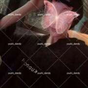 ヒメ日記 2025/07/18 13:21 投稿 鯉夏ゆうひ Mrs. Dandy Yokohama