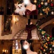 ヒメ日記 2025/11/26 18:21 投稿 鯉夏ゆうひ Mrs. Dandy Yokohama