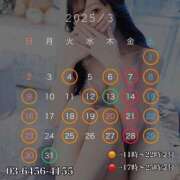 ヒメ日記 2025/03/01 20:49 投稿 鯉夏ゆうひ Mrs. Dandy Haneda