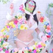 ヒメ日記 2025/04/19 13:32 投稿 鯉夏ゆうひ Mrs. Dandy Haneda