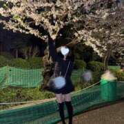 ヒメ日記 2025/05/04 11:15 投稿 由良木れの JKリフレ東京 秋葉原本店