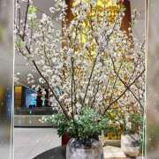 ヒメ日記 2025/03/26 09:27 投稿 まいか 錦糸町人妻セレブリティ（ユメオト）