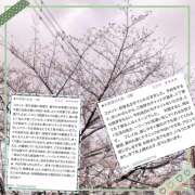 ヒメ日記 2025/03/30 10:17 投稿 まいか 錦糸町人妻セレブリティ（ユメオト）