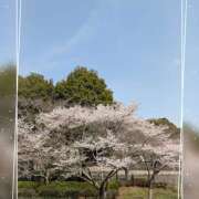 ヒメ日記 2025/04/12 16:09 投稿 まいか 錦糸町人妻セレブリティ（ユメオト）