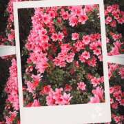 ヒメ日記 2025/04/13 09:53 投稿 まいか 錦糸町人妻セレブリティ（ユメオト）