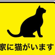 ヒメ日記 2025/07/12 21:56 投稿 まいか 錦糸町人妻セレブリティ（ユメオト）
